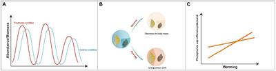 Warming and phosphorus enrichment alter the size structure and body stoichiometry of aquatic gastropods